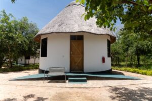 5 Days 4 Nights Camp Atupele I Mikumi National Park & Hondo Hondo Udzungwa Forest Camp, Tanzania