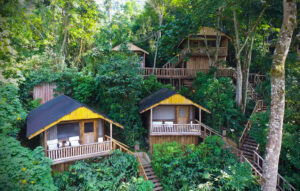 7 DAYS KIBALE -QUEEN ELIZABETH & GORILLA TREKKING IN UGANDA- ENTEBBE