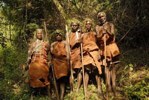 5 DAYS CHIMPANZEE & GORILLA TREKKING SAFARI IN UGANDA ENTEBBE - NDALI KASENDA CRATER LAKES - KIBALE FOREST NATIONAL PARK - BWINDI IMPENETRABLE FOREST NATIONAL PARK